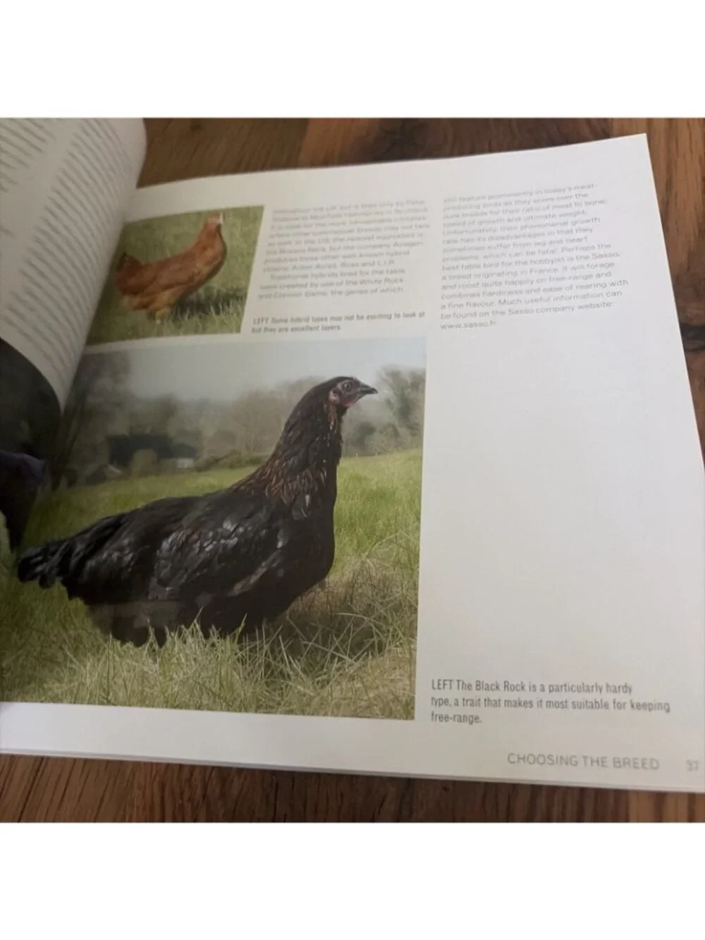 Keeping Chickens : Getting the Best from Your Chickens by Jeremy Hobson and...